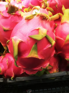 dragon fruit