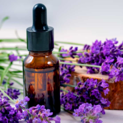 10 Amazing Health Benefits of Lavender Essential Oil